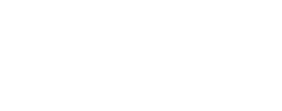 Audemo Systems